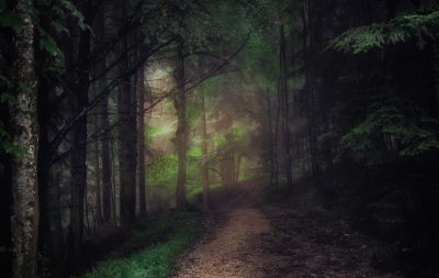 Il mio Blog inizia dal mio sentiero