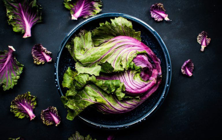 Mangiare low fat a 50 anni e oltre: un possibile passo verso la longevità